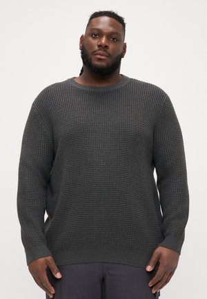 JJGLOBAL CREW NECK  - Svetrík - asphalt