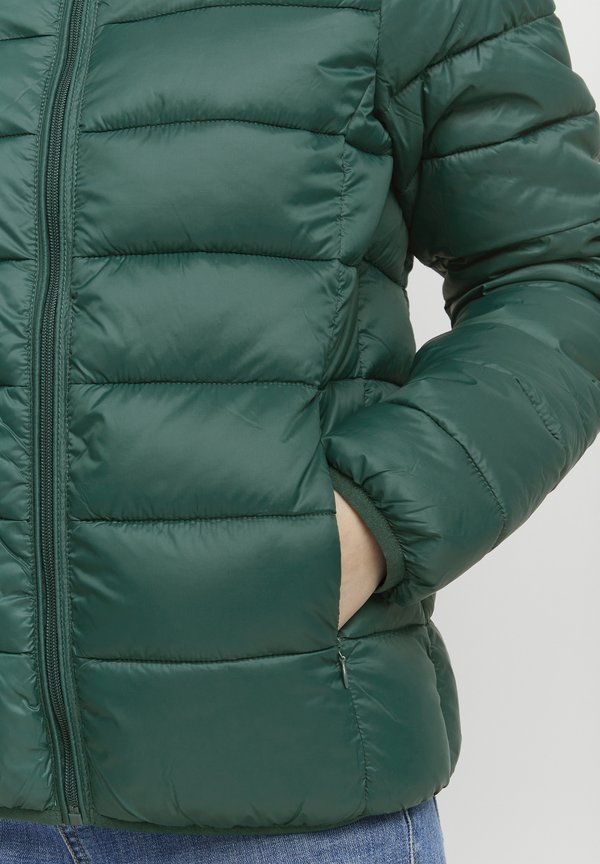 BYBELENA - Winter jacket - botanical garden2