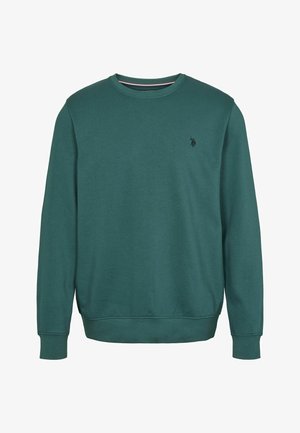 Roheline ümar kaelusega sweatshirt pehmest materjalist. Omab pikki varrukasid ja soonikkoes mansette. Rinnal on väike must tikandiga logo.