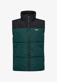 Ausgewählt, ponderosa pine