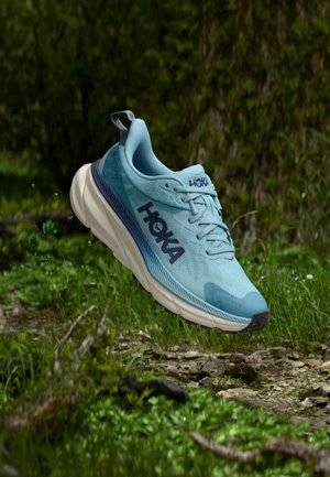 CHALLENGER 7 GTX - Pantofi alergare trail - raindrop/grout