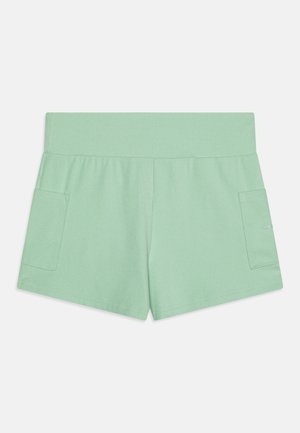 Pantalones cortos verde claro con una cinturilla ancha, que cuentan con dos bolsillos laterales y una textura acanalada. Diseño simple y limpio. Sin patrones visibles.