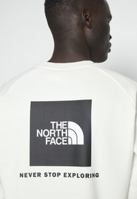 The North Face RAGLAN CREW - Felpa - gardenia white