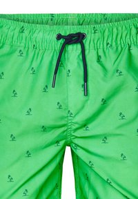 Petrol Industries Zwemshorts - andean toucan