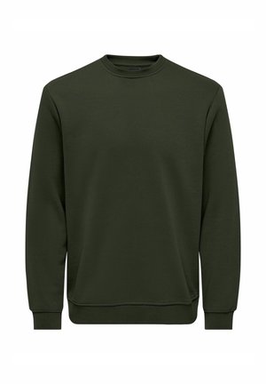 Sudadera verde de cuello redondo hecha de tejido suave, con mangas largas, puños y dobladillo acanalados, y un corte holgado sin patrones ni detalles.