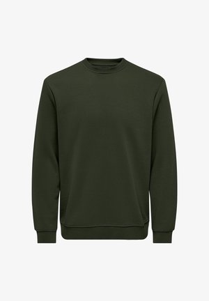 Vihreä crewneck-collegepaita, joka on valmistettu pehmeästä kankaasta. Siinä on pitkät hihat, joustavat hihansuut ja helma sekä rento istuvuus ilman kuvioita tai koristeita.