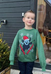 Grön stickad tröja med en blå skidälskande björn som bär en röd jultomteshatt, prydd med vita snöflingor och röda skidor som dekorativa detaljer.