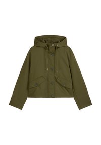 Niewybrane, mossy olive