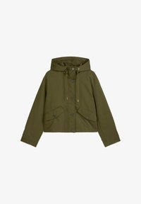 Ausgewählt, mossy olive