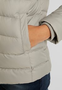 Tommy Jeans Dunjacka - light grey