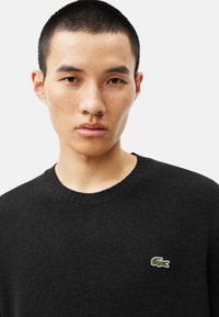 Juodas megztinis su įdirbtu apvaliu kaklu, su mažuoju žaliu Lacoste logotipu išsiuvinėtu kairėje krūtinės pusėje. Sklandžios megztos tekstūros.