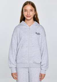 Svetlosiva zip-up kapuca iz mekog materijala, sa prednjim rajsferšlusom, velikim džepovima i vezanim logotipom "Big Star Jeans" na grudima.