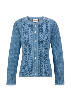 Blue knitted cardigan featuring a textured pattern, decorative cables, and five button closures, with a round neck and long sleeves.