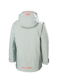 Helly Hansen LEVEL UNISEX - Winterjacke - cactus