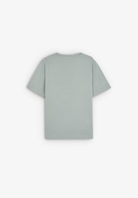 Camiseta de manga corta verde claro, hecha de algodón suave, con un clásico cuello redondo y un diseño trasero simple y sin adornos.