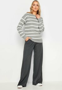 Long Tall Sally STRIPE - Sweater - grey