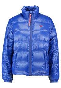 Modrá péřová bunda s vysokým límcem, předním zipem a elastickými manžetami. Lesklý materiál, se šitými panely a logem na hrudníku.