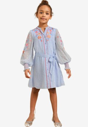 Helles blaues Kleid mit puffärmeligen, transparenten Ärmeln, floralem Stickerei und tailliertem Bund. Verfügt über eine Knopfleiste und einen strukturierten Stoff mit kleinen Mustern.
