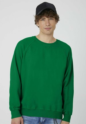 Grüner Pullover mit langen Ärmeln, Raglan-Schulternähten, rundem Ausschnitt und gerippten Bündchen. Das Material wirkt weich mit einer glatten Textur.