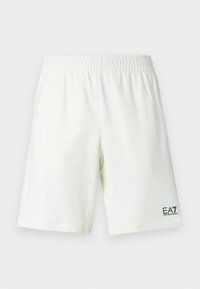 TRAIN CORE BERMUDA COFT - Shorts - sugar swizzle