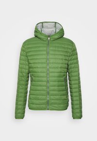 Não selecionado, green