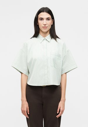 Personne aux longs cheveux foncés portant une chemise vert clair à manches courtes avec de fines rayures verticales et un pantalon foncé, debout devant un fond blanc.