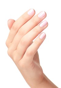 Thumbnail Image 2