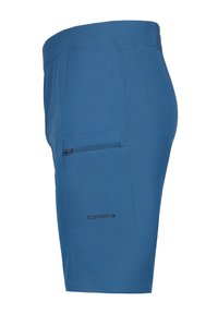 Pantalones cortos azules hechos de una tela ligera, con un bolsillo con cremallera lateral, frente plano y detalle del logo en negro cerca del dobladillo.