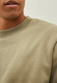 Next CREW - Sweatshirt - neutral