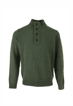 Groene trui met een hoge kraag, vijf zwarte knopen en ribbelaccenten op de kraag en onderkant. Zachte, gestructureerde brei stof.