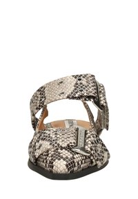 Steve Madden GRAND AVE - Ballerines à brides arrière - lt beige snake