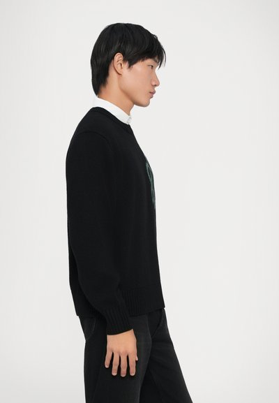 Young man in black sweater and jeans stands in profile against a plain white background, looking straight ahead.