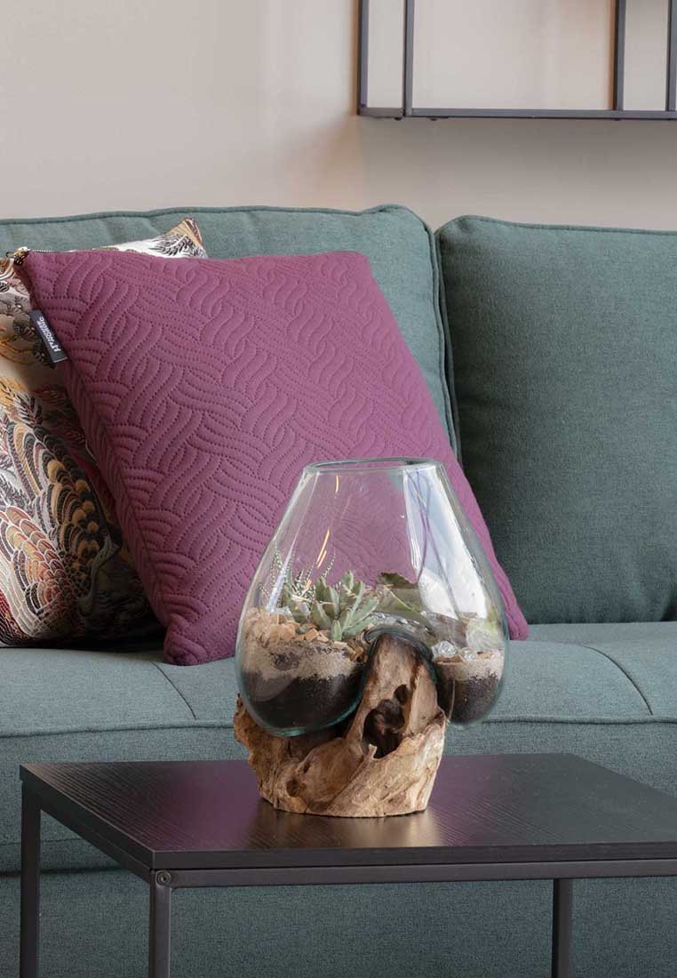 Helder glazen terrarium met een ronde vorm, dat gelaagd aarde en vetplanten toont, rustend op een natuurlijke houten basis, tegen een groene bank.