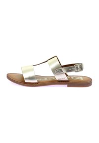 Sandali metallici oro con due ampie cinghie, una fibbia regolabile alla caviglia e una suola marrone con cuciture visibili.