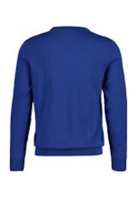 Felpa blu realizzata in morbido tessuto, con scollo rotondo e maniche lunghe. Il retro è semplice, senza motivi o accenti visibili.