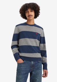 Blauwe en grijze gestreepte gebreide sweater, ronde hals, geribbelde manchetten en zoom, met een klein rood logo aan de linkerkant van de borst.
