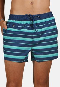 Shorts de bain pour hommes en bleu marine avec des rayures horizontales teal. Comprend une ceinture élastique et une poche latérale avec un bouton-pression.