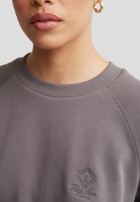 Szara bluza z okrągłym dekoltem i rękawami raglanowymi. Haftowane logo w ciemniejszym szarym kolorze na dolnej lewej stronie.