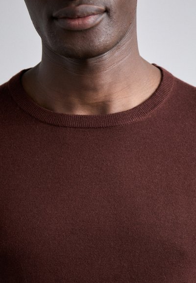 Tiger of Sweden NICHOL - Pullover - pure decadence