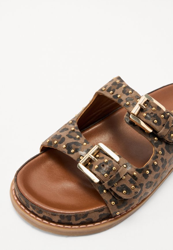 WALK AROUND LEP - Mules2