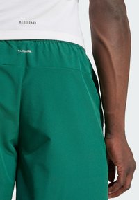 Žalios sportinės šortai su tekstūruota medžiaga, elastinga juosta ir šoninėmis kišenėmis. Ant nugaros yra ClimaCool prekės ženklas.