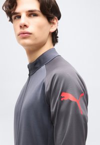 Νέος άνδρας που φορά γκρι αθλητικό μπουφάν με φερμουάρ και κόκκινο λογότυπο Puma στο πάνω αριστερό μανίκι, κοιτάζοντας ελαφρώς προς το πλάι.