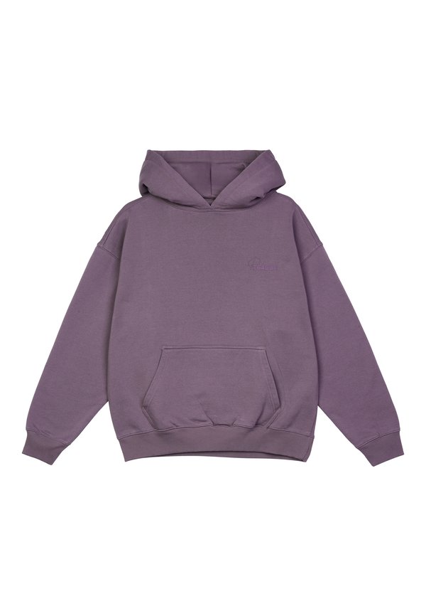 BLAIR OVERSIZED - Sweatshirt - washed dusty grape3