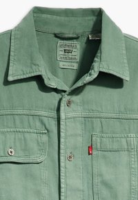 Zaļa, brīva piegriezuma krekls no mīksta auduma. Aprīkots ar izteiktu apkakli, priekšā ar pogām aizdarāms, divām krūšu kabatām un sudraba krāsas metāla detaļām.