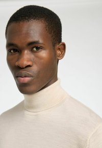 Selected Homme ROLLKRAGEN - Neule - oatmeal