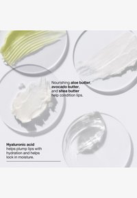 Four circular glass dishes display textured formulations: green aloe butter, white avocado butter, white shea butter, and clear hyaluronic acid gel.