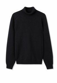 Dunkelbrauner Strickrollkragenpullover mit geripptem Kragen, Bündchen und Saum. Einfaches Design mit langen Ärmeln und ohne sichtbare Muster oder Akzente.