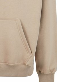 Dropsize HEAVY CRIME  - Sweat à capuche - silvermink