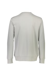 Sudadera gris clara de manga larga, con puños y dobladillo acanalados, textura suave, diseño de cuello redondo y sin patrones ni acentos visibles.