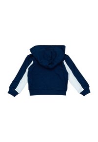 Felpa navy con cappuccio, pannelli laterali bianchi, polsini e orlo a costine. Realizzata in misto cotone, con una texture liscia. Vista posteriore.